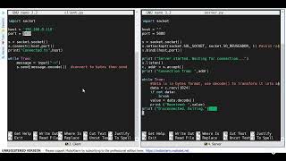 ClientServer Communication with Two Raspberry Pies and Python [upl. by Nnaed]