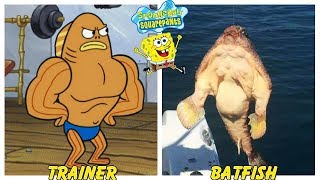 SpongeBob Squarepants Characters in Real Life [upl. by Shepard]