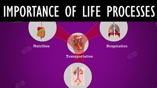 Importance of life processes  10th Biology CBSE Syllabus  ncert class 10  X Science [upl. by Oinota466]