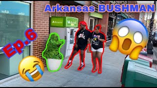 NEW Arkansas BUSHMAN 2021 EP 6 MUST WATCH [upl. by Ahsilrae]