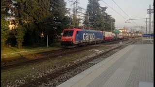 Treni merci a Gallarate nel pomeriggio [upl. by Einahpet76]