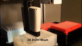 Magnetic Bead Prep for DNA extraction  automated liquid handling [upl. by Eilyk101]