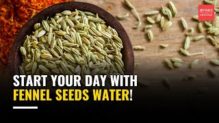 Why Fennel Seeds Water Should Be Your Morning Ritual  Benefits of Fennel Seeds Water [upl. by Pasol]