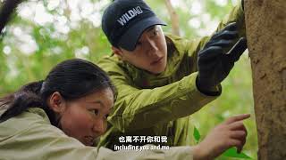 Lighting Hope For Pangolins WildAids Pangolin Conservation PSA With Wang Yibo [upl. by Delcina]