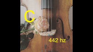 Cello Drone C 442 hz [upl. by Mharg]