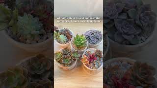 Watering your succulents after the winter 💦 succulentsbox succulents cactus plants shorts [upl. by Kinnard663]