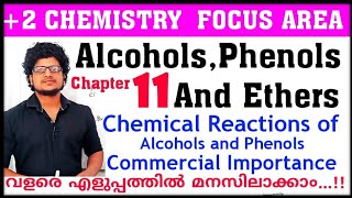 Chemical reactions of Alcohols and Phenols Plus two chemistry chapter 11 focus area  Lucas Test [upl. by Onairotciv508]