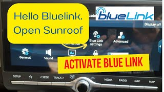 How to activate Bluelink in Hyundai Creta 2023  Simple Steps [upl. by Alonso]