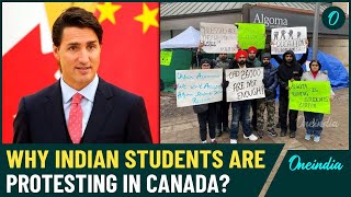 Canada in Chaos 70000 International Students at Risk of Deportation Amidst Massive Protests [upl. by Nahgeem478]