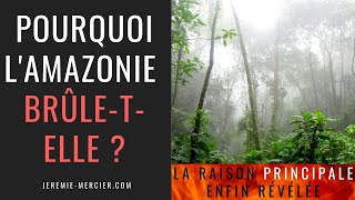 Pourquoi lAmazonie brûletelle [upl. by Truk]