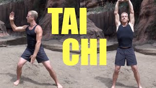 10 Minute Tai Chi Lesson  Amazing [upl. by Kassie]