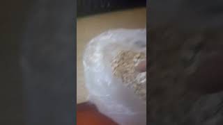 Oats in Pakistan in cheap price Good quality oats  gym oats oatmeal pakistan daraz [upl. by Smallman506]