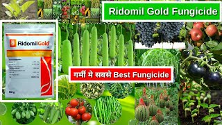 Metalaxyl 4  Mancozeb 64 WG  Ridomil Gold Systemic and contact fungicide Agriculture [upl. by Alek868]