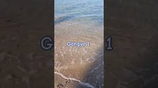 🔵Gongyo 1 [upl. by Cherish]