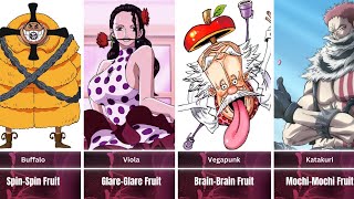 Every Single Paramecia Devil Fruit User In One Piece [upl. by Kreegar346]