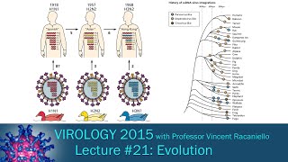 Virology 2015 Lecture 21 Evolution [upl. by Eelrebma809]