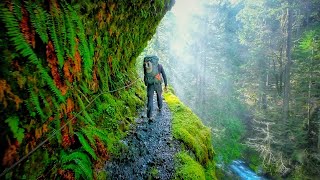 Eagle Creek Trail  Oregon USA  Stunning Footage [upl. by Aihsened]