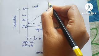 BINARY SYSTEM  SOLID SOLUTION AbAn SOLID SOLUTIONएल्बाइट एनोर्थाइट सॉलिड सॉल्यूशनबायनरी सिस्टम [upl. by Yekciv]