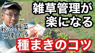 【続･雑草対策】草管理と除草が楽になる秋冬野菜のタネまき方法をニンジンの種蒔きで解説《ビニールマルチ無し除草剤不使用無農薬無施肥自然農》 [upl. by Esilahs]