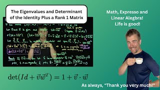 The Identity Matrix Plus a Rank One Perturbation [upl. by Bedell]