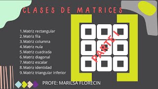 CLASES DE MATRICES  PARTE 1 [upl. by Wakeen]