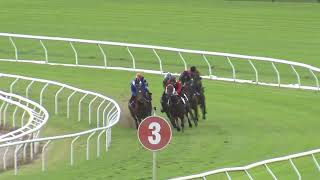 Heat 5 Doomben Jumpouts 2604 [upl. by Niawat186]