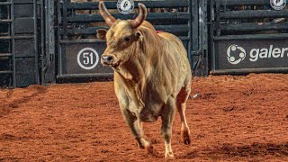 COBIÇADO Cia Tercio Miranda  MELHOR TOURO do BARRETOS INTERNATIONAL RODEO 2024 [upl. by Allerim]