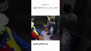 ضحك dz اكسبلور algeria funny algerie ترند algerien memes جزاءر الجزائر [upl. by Weide]