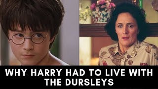 Why Didnt the Weasley Family Adopt Harry [upl. by Ahsikat]