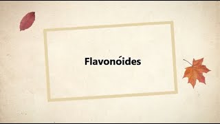 Flavonoides aula [upl. by Yanal]