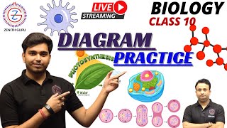 DIAGRAM PRACTICE  Class 10  Lec3 By Ashutosh Sir zenithguru biology [upl. by Nyrraf]