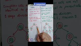 Comparison between mitosis and meiosis  cell division  biology [upl. by Rory]