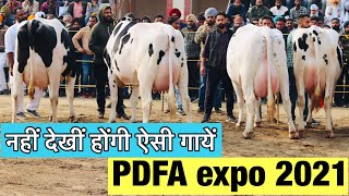 Biggest Dairy expo in Punjab  PDFA 2021 PDFA [upl. by Kacie884]