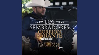 Gorrión Errante En Vivo [upl. by Sirrah761]