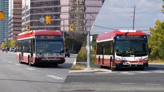 TTC Bus 184 [upl. by Wenn]