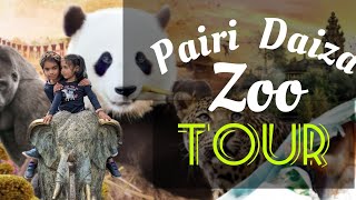 Pairi Daiza zoo  Zoo Animals  Best zoo in Europe  Belgium biggest zoo [upl. by Eliga340]