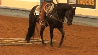 AQHA Ranch Pleasure Class [upl. by Doowle]