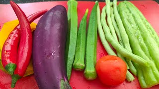 Virgies Vlog is live Slicing Vegetables [upl. by Aierdna]