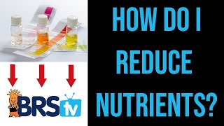 How to Lower Nitrate and Phosphate in a Saltwater Aquarium  ep5 BRStv Guide to Pollutive Foods [upl. by Millicent325]