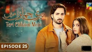 Teri Chhaon Mein  Ep 25 CC 13 November 2024  HOM TV Drama  Teri Chhaon Mein Episode 25 Review [upl. by Bunce802]