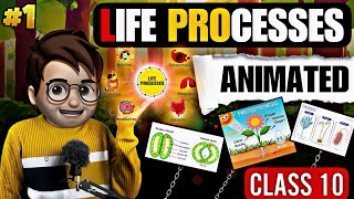 Life Processes Science Biology class10  Animated  Nutrition in Plants amp Animals  Ncert Part1 [upl. by Bael382]