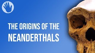 The Origins of the Neanderthals [upl. by Rednijar]