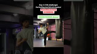 10k roundhouse challenge Kickboxing basics Master boxing basics Muay Thai Drills [upl. by Yedok]