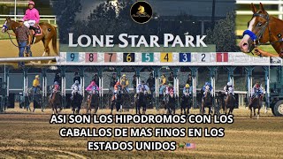 ASÍ SON LAS CARRERAS EN LOS HIPÓDROMOS DE LOS ESTADOS UNIDOS🇺🇸CABALLOS DE LA MÁS ALTA CALIDAD🏇 [upl. by Nena993]