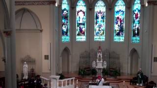 Gospel Acclamation for the 17th Sunday in Ordinary Time [upl. by Hnahc911]