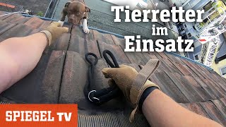 Tierretter im Einsatz  SPIEGEL TV [upl. by Breed]