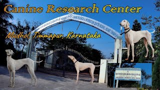 Mudhol Hounds research center  Timmapur [upl. by Ennej116]