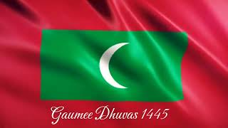 Gaumee Dhuvas 1445  Bandhi  Wafa [upl. by Mercier]