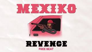 FREE A REAL MEXIKODRO TYPE BEAT quotREVENGEquot [upl. by Assilanna411]