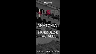 USEP MED103 MF ANATOMIA [upl. by Daune]